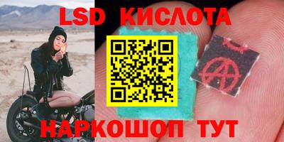 ГАЛЛЮЦИНОГЕННЫЕ ГРИБЫ Малгобек
