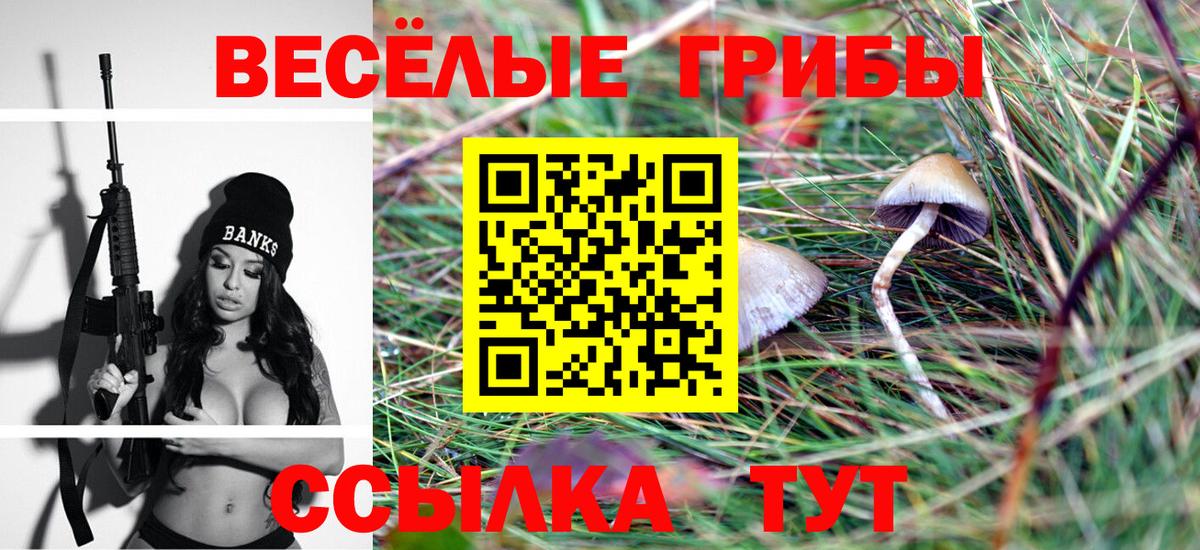Холмск  Псилоцибиновые грибы мицелий  Вход с VPN 